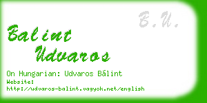 balint udvaros business card